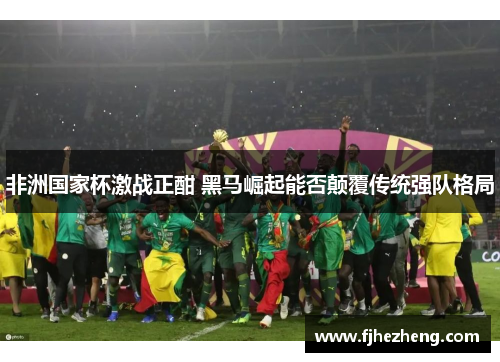 非洲国家杯激战正酣 黑马崛起能否颠覆传统强队格局 非洲国家杯激战正酣 黑马崛起能否颠覆传统强队格局
