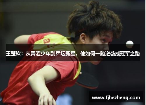 王楚钦:从青涩少年到乒坛新星,他如何一路逆袭成冠军之路 王楚钦:从青涩少年到乒坛新星,他如何一路逆袭成冠军之路